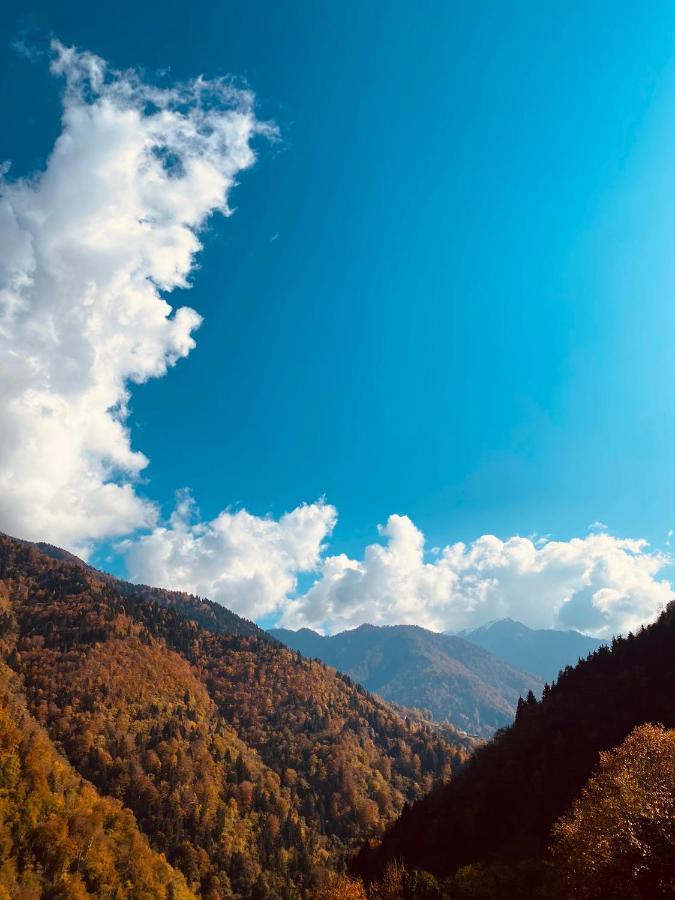 Seyr-I Cennet Dag Evleri Camlihemsin Екстер'єр фото